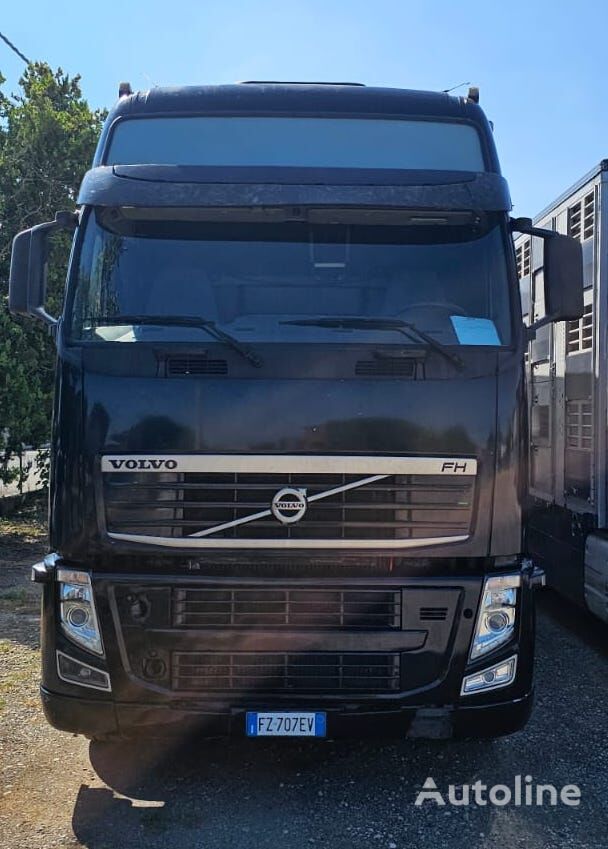 скотовоз Volvo FH 500