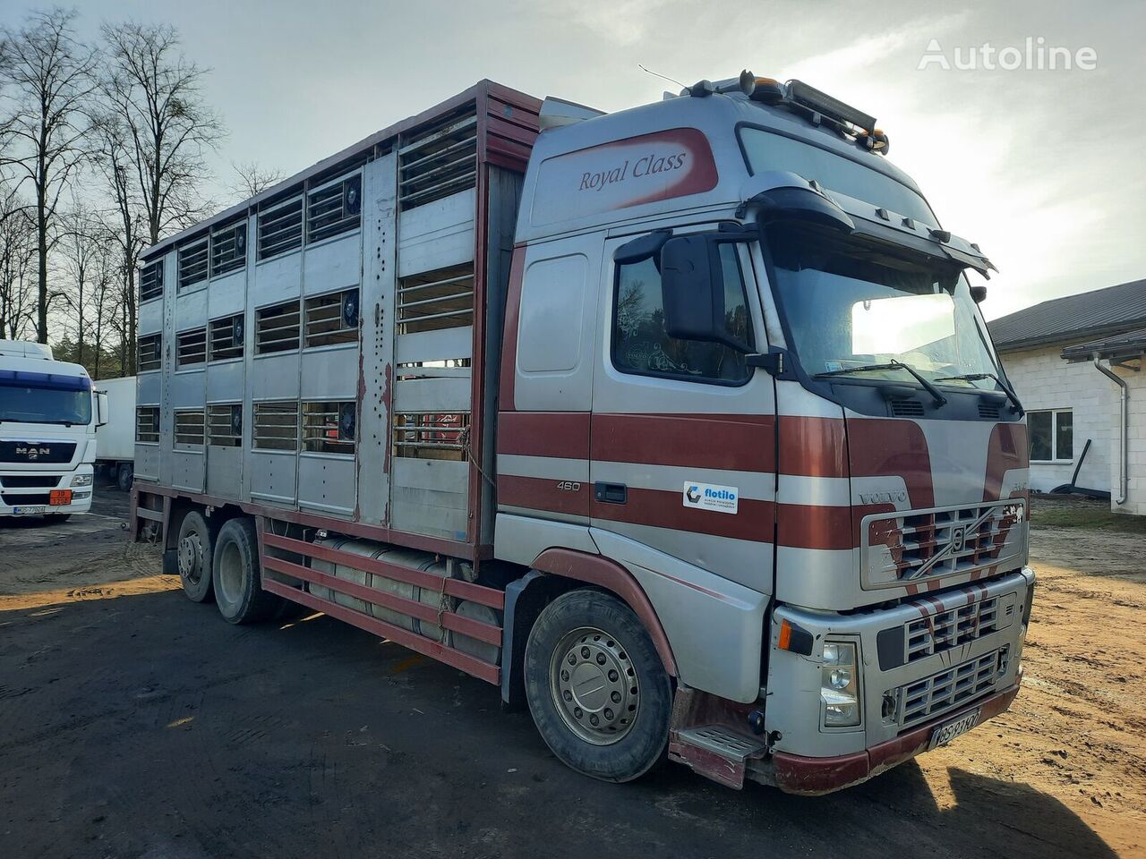 скотовоз Volvo FH12